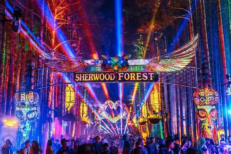 Save on an Enchanting Escape with the Magical Forest Promo Code 2023!